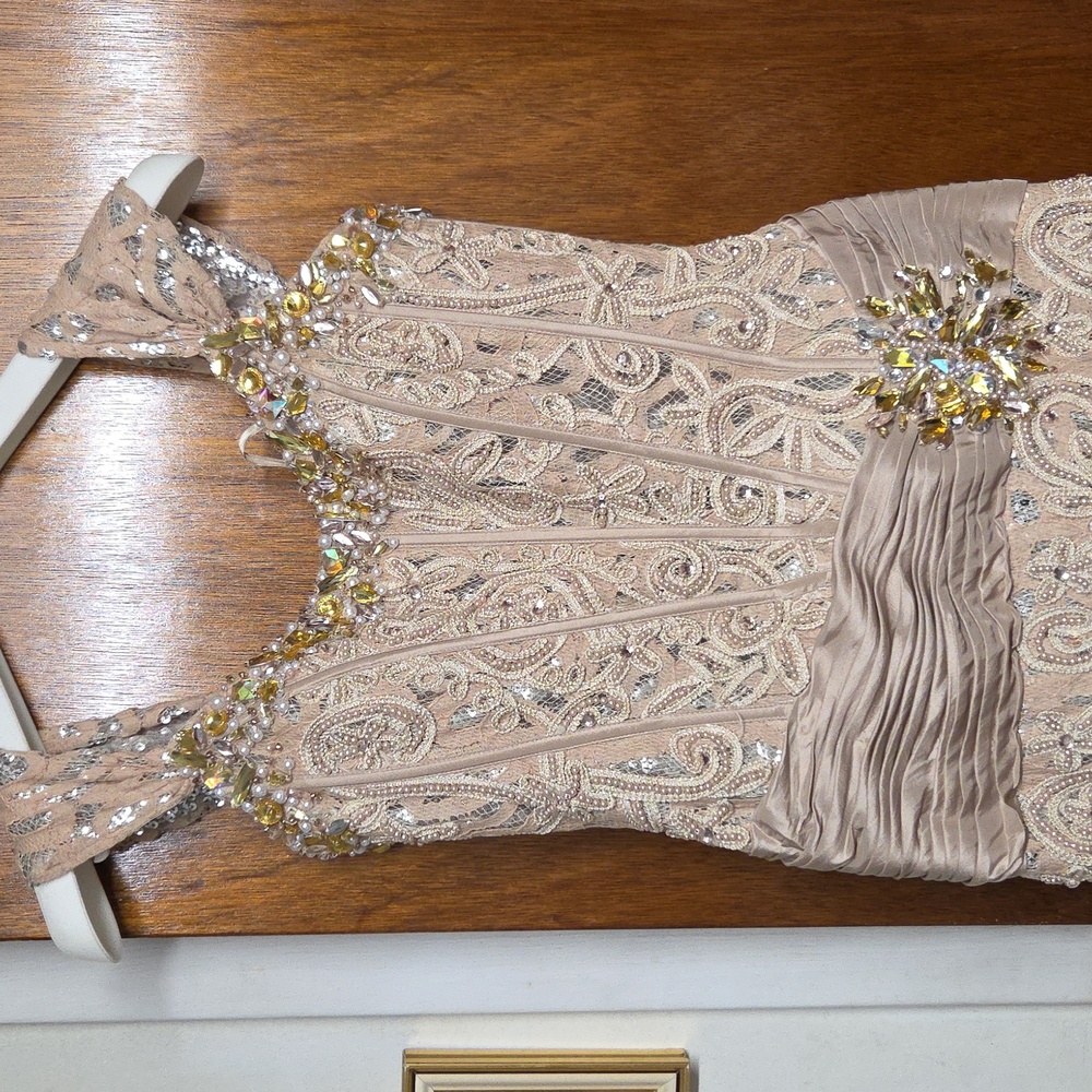 Elegant Beige Evening Gown